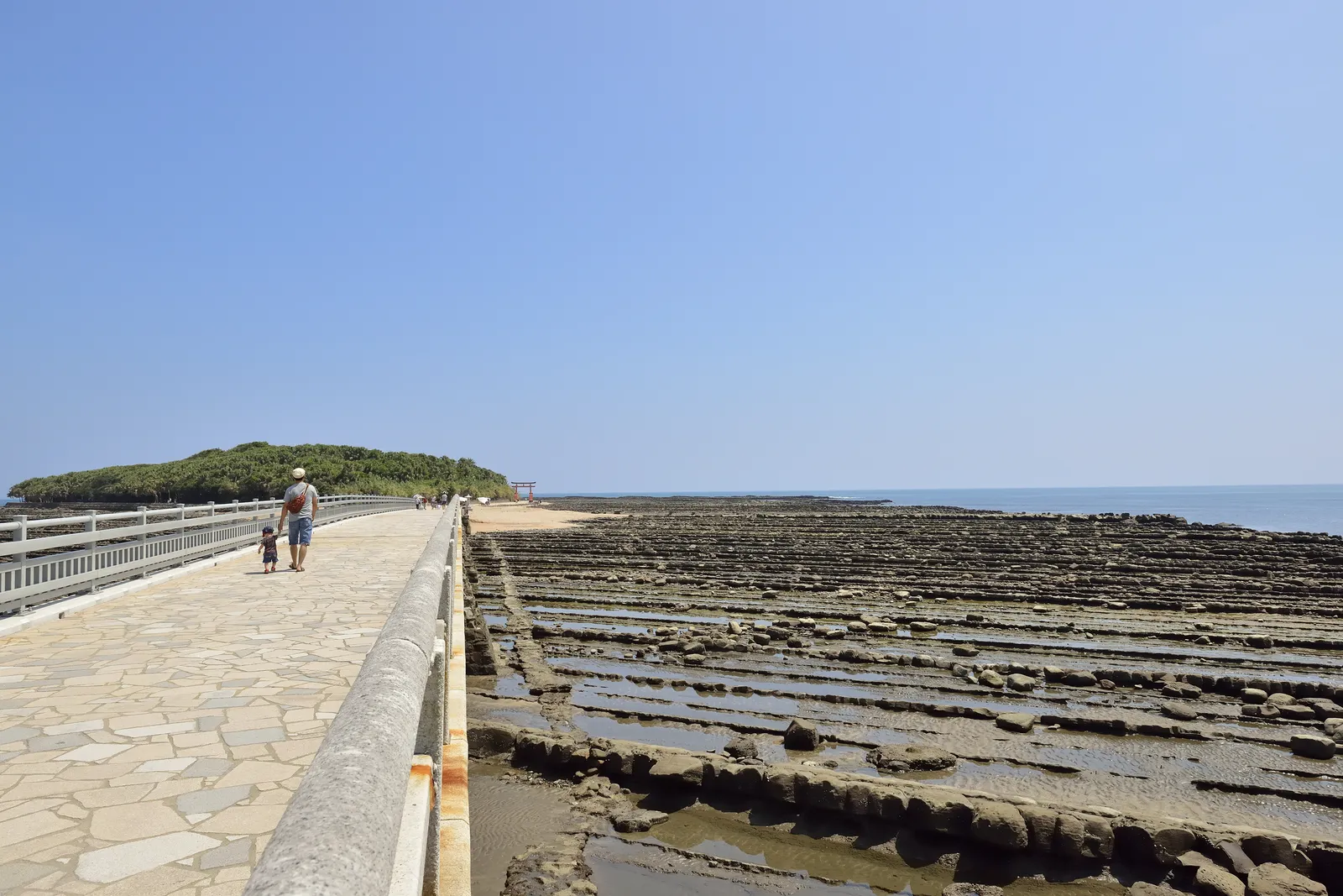 青島(弥生橋)
